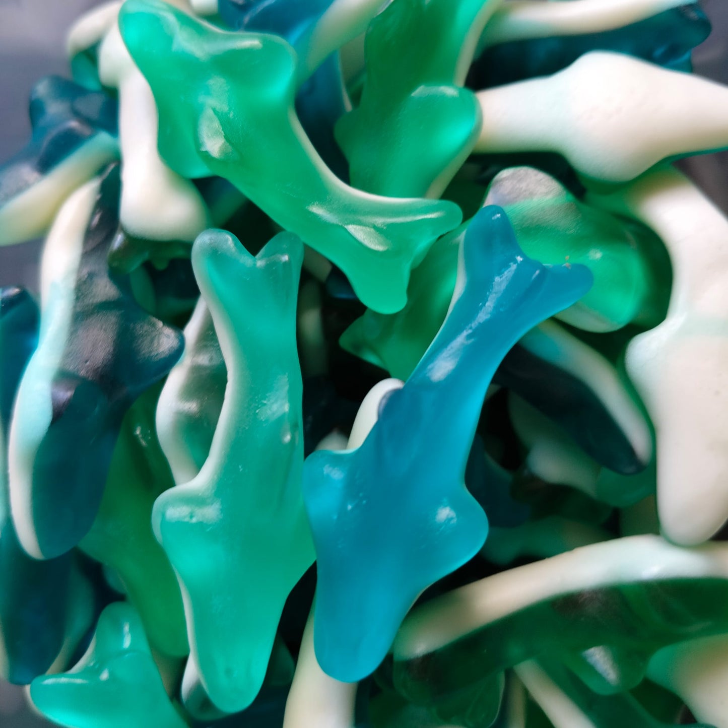 Tubarões Verdes e Azuis