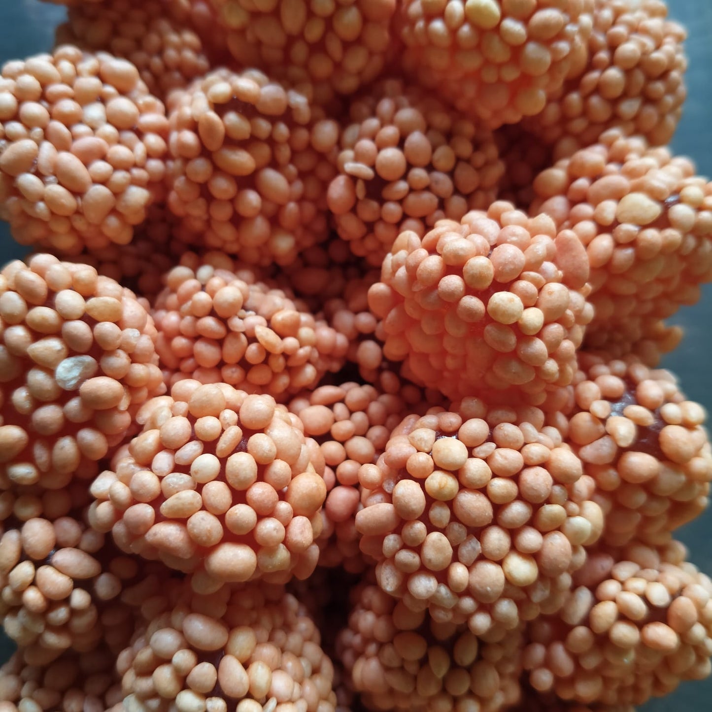 Asteroide Picante